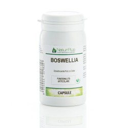 Boswellia Serrata 60 Capsule