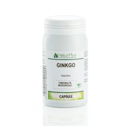 Ginkgo 60 Capsule