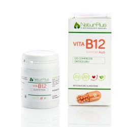 B-apport vitamina B12 120 Compresse