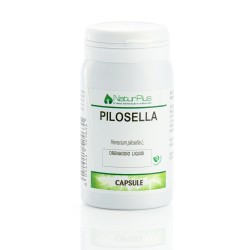 Pilosella 60 capsule