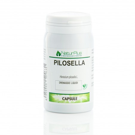 Pilosella 60 capsule