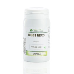 Ribes Nero  60 capsule